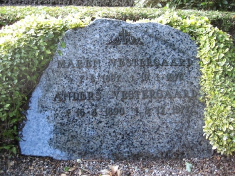Anders Vestergaard.jpg
